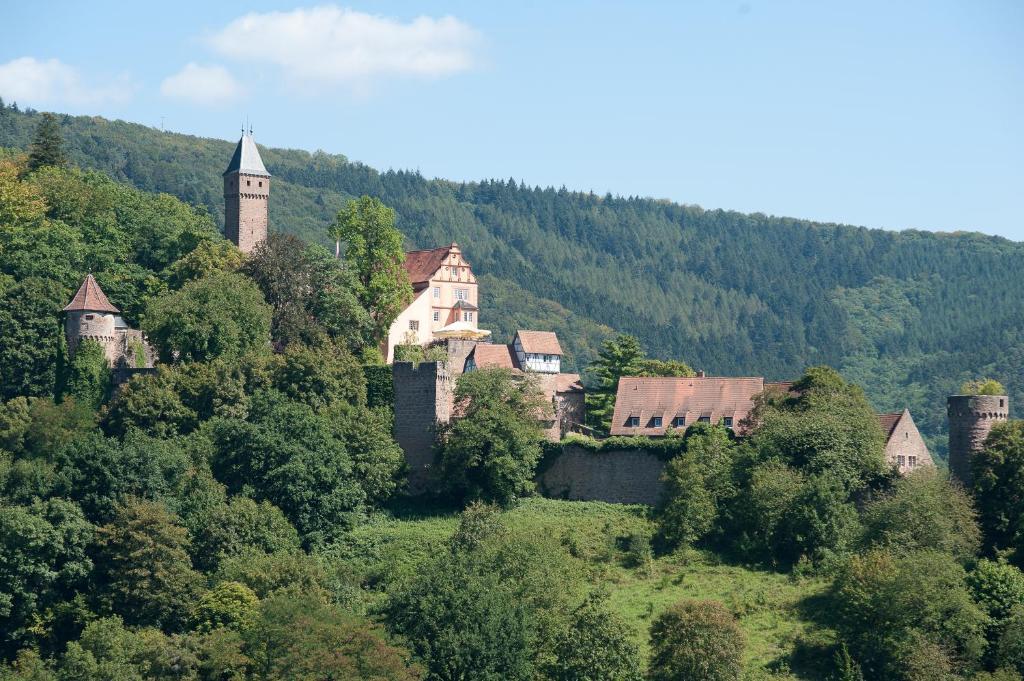 Schlosshotel 希尔施霍恩 外观 照片